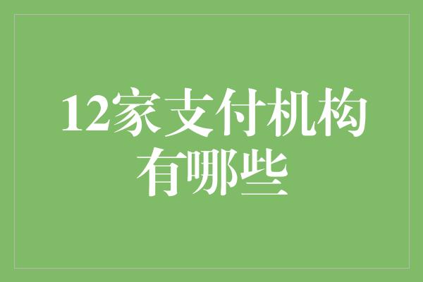 12家支付机构有哪些