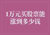 1万元买股票，最高收益可达数百万？揭秘炒股收益的极限