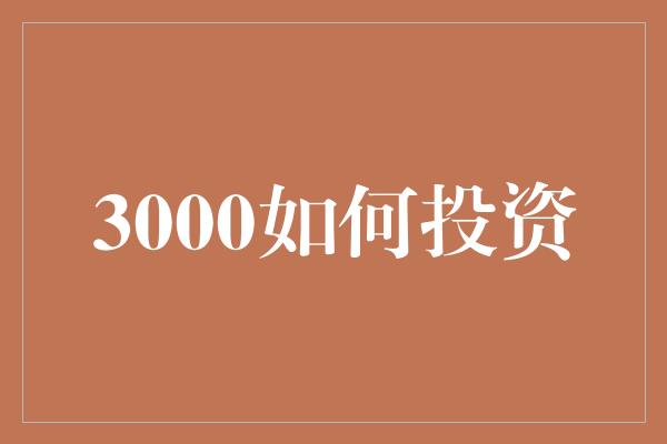 3000如何投资