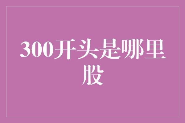 300开头是哪里股