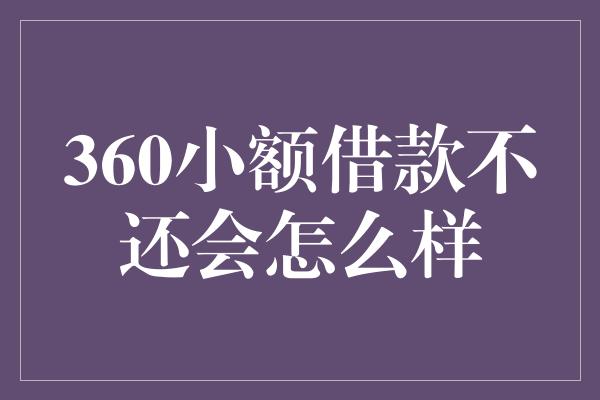 360小额借款不还会怎么样