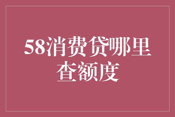 58消费贷哪里查额度