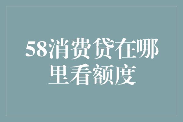 58消费贷在哪里看额度