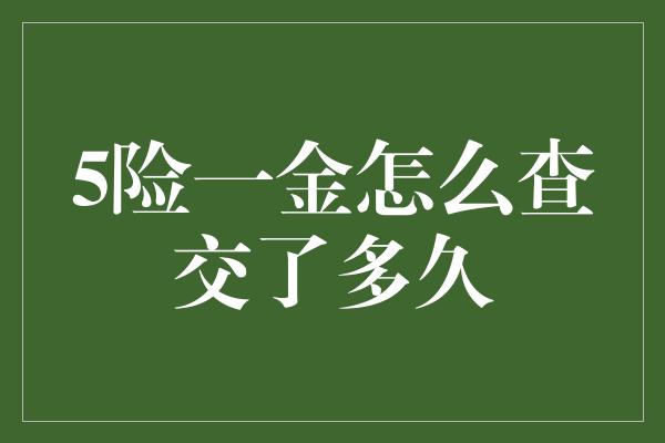 5险一金怎么查交了多久