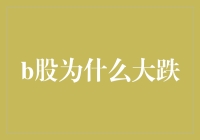 B股市场动荡：深层次原因剖析