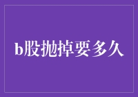 股市波动下的B股抛售时间管理策略