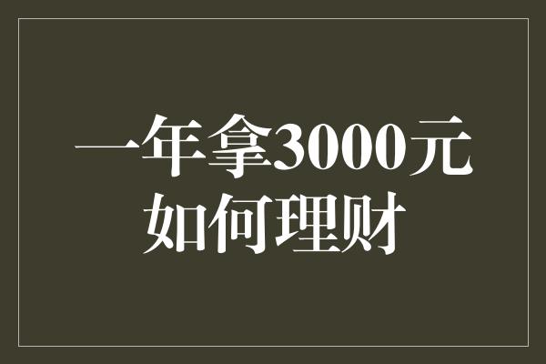 一年拿3000元如何理财