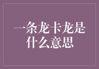 什么是一条龙卡龙？——从网络流行语看社会文化现象