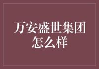 万安盛世集团的神奇体验：从员工到老板的华丽变身