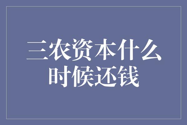 三农资本什么时候还钱