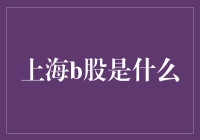 巧克力牛奶和白牛奶：解读神秘的上海B股