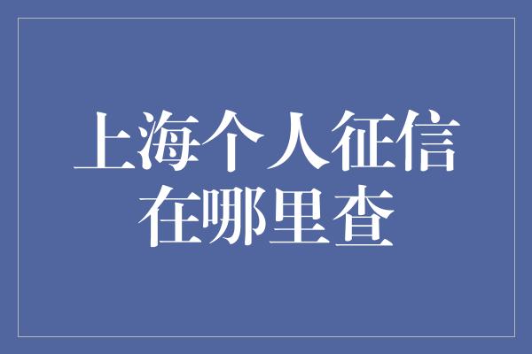 上海个人征信在哪里查