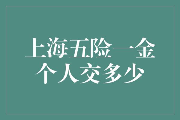 上海五险一金个人交多少