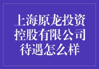 别再问上海原龙投资控股有限公司待遇如何了，问这种问题的你，已经输了