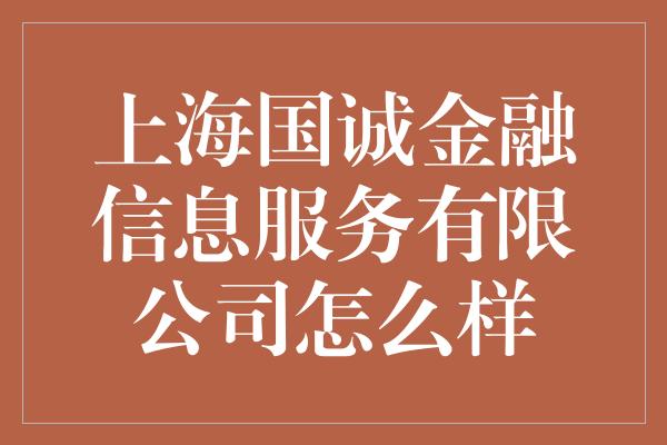 上海国诚金融信息服务有限公司怎么样