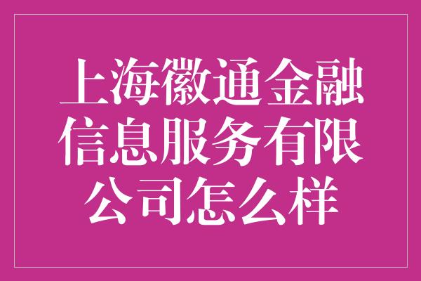 上海徽通金融信息服务有限公司怎么样