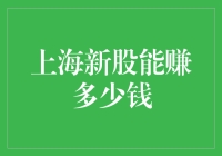 上海新股市场：挖掘财富的潜力与风险