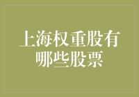 上海股市的宠儿——哪些股票占了大头？