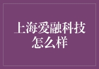 上海爱融科技：科技界的爱情顾问？