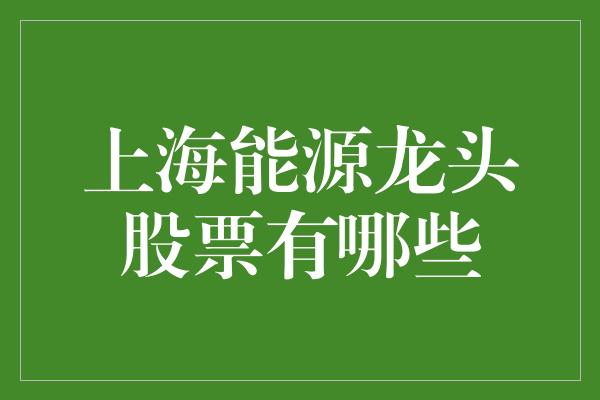 上海能源龙头股票有哪些