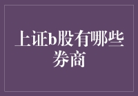 中国的股外奇遇：上证B股界的券商天团