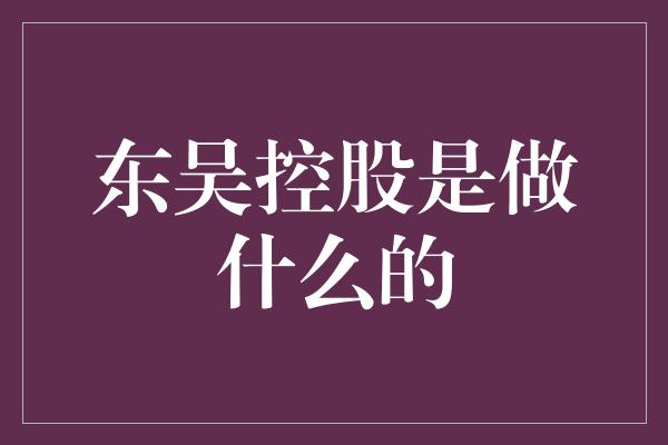 东吴控股是做什么的