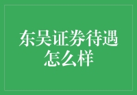 东吴证券待遇分析与职业发展路径概览