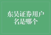 东吴证券用户名与登录密码的正确使用与安全策略