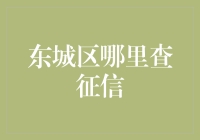 东城区征信报告查询指南：全面解析与专业建议