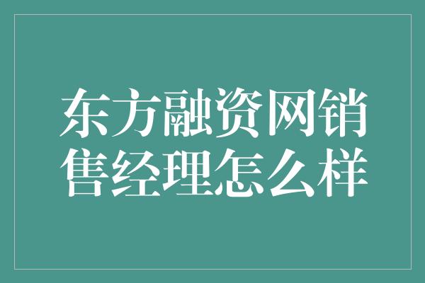 东方融资网销售经理怎么样