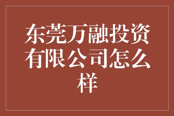 东莞万融投资有限公司怎么样