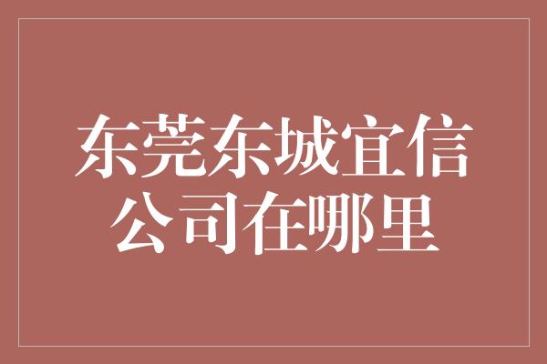 东莞东城宜信公司在哪里