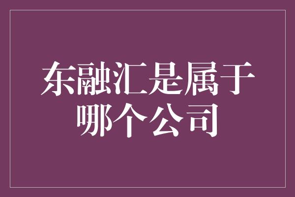 东融汇是属于哪个公司