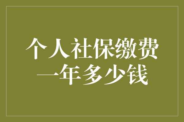 个人社保缴费一年多少钱