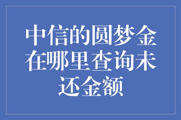 中信的圆梦金在哪里查询未还金额