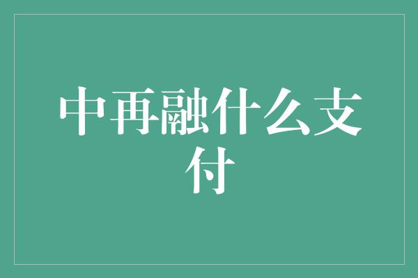 中再融什么支付