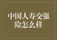 中国人寿交强险全面解析：您的驾驶安全守护神