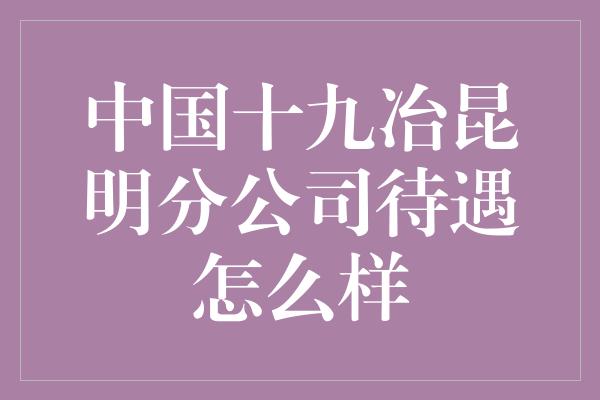 中国十九冶昆明分公司待遇怎么样