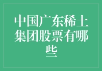 中国广东稀土集团：股票投资的机遇与挑战