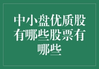 中小盘优质股的投资机遇：筛选策略与精选个股