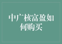 中广核富盈投资者指南：如何购买与保障投资安全