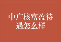 中广核富盈公司待遇解析：职涯发展与薪酬福利全面解析