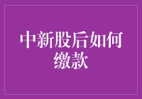 中新股后如何缴款：一份详尽指南