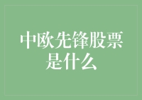 「什么是中欧先锋股票？」