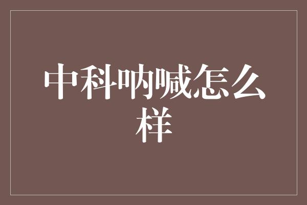 中科呐喊怎么样