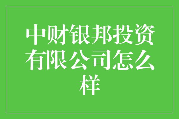 中财银邦投资有限公司怎么样