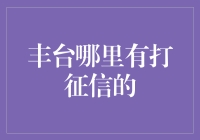 北京丰台区如何查询征信记录：专业机构与自助平台指南