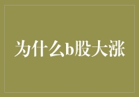 为什么B股大涨：一场股民的奇幻冒险