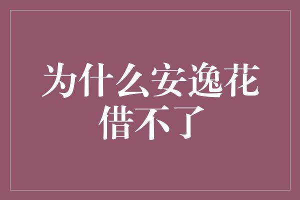 为什么安逸花借不了