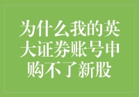 为什么我的英大证券账号申购不了新股？这是我人生中最大的谜题